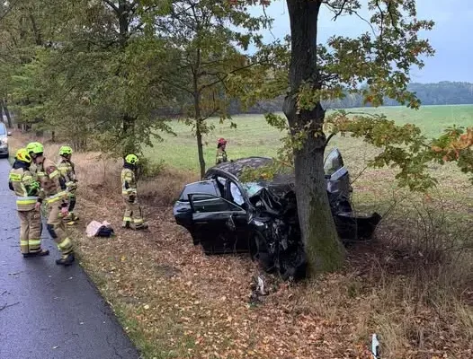 Romaszki: auto uderzyło w drzewo. Jedna osoba poszkodowana