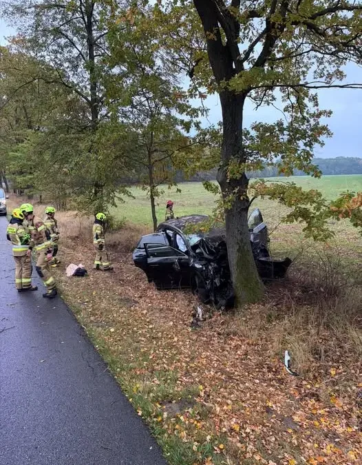 Romaszki: auto uderzyło w drzewo. Jedna osoba poszkodowana