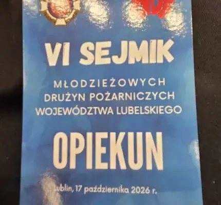 Młodzi strażacy z gminy Janów Podlaski na VI Sejmiku MDP w Lublinie