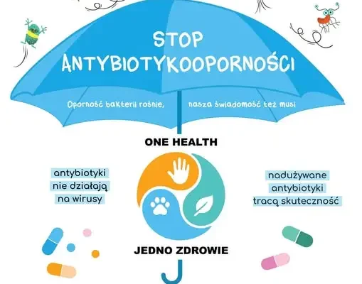 Europejski Dzień Wiedzy o Antybiotykach – dlaczego odpowiedzialne stosowanie leków ma znaczenie?