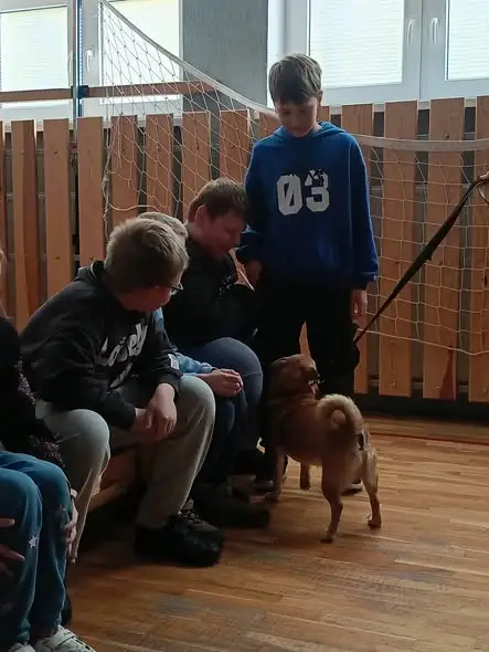 Rudzik skradł serca uczniów – spotkanie z wolontariuszką schroniska w szkole w Terespolu Pomorskim
